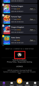 Permainan Gratis USDT USDC 2